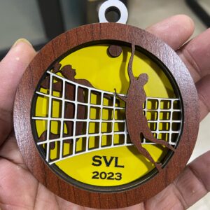 Volleyball medal